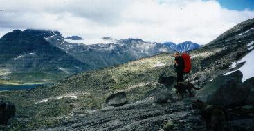 Annabell und Hunde im Fjll